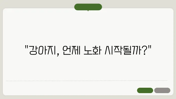 강아지 노화 징후, 함께 살펴볼까요? 정보와 관리 방법을 알아보세요