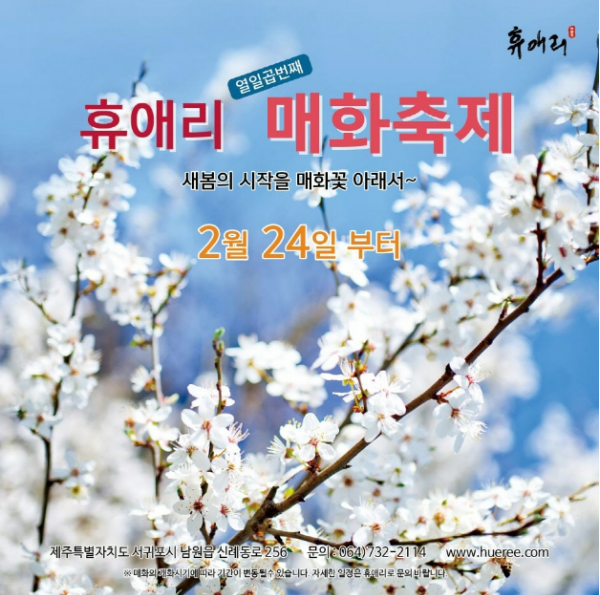 2023년 3월 4월 봄꽃 산수유 개나리 매화 벚꽃 축제