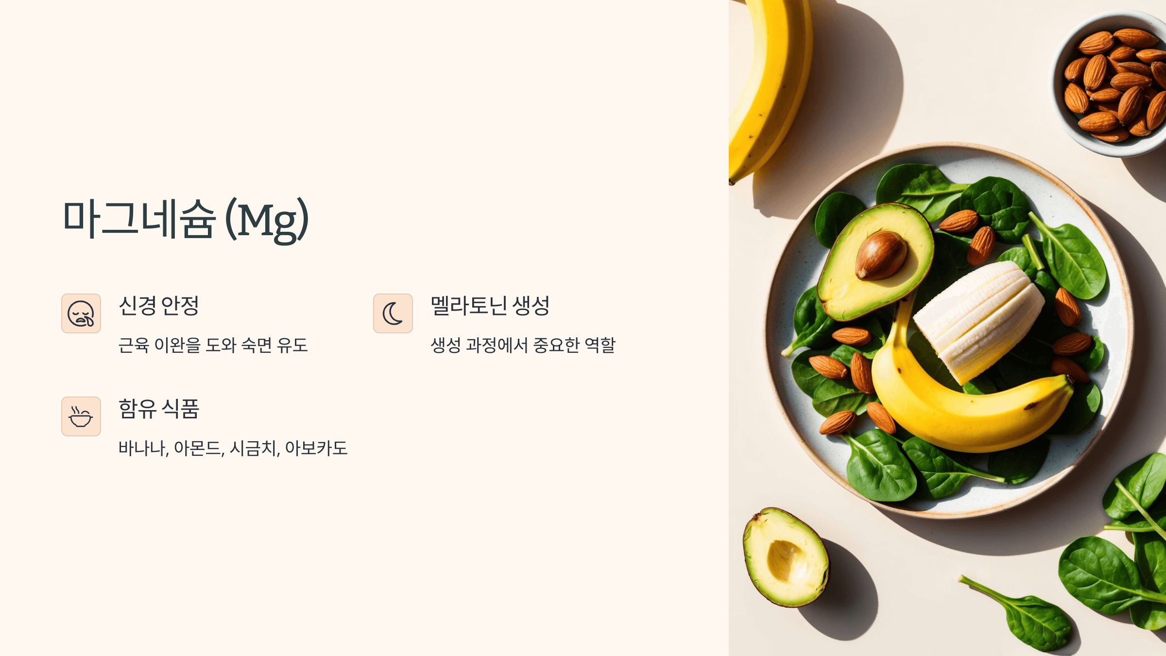 멜라토닌과 관련된 사진입니다.