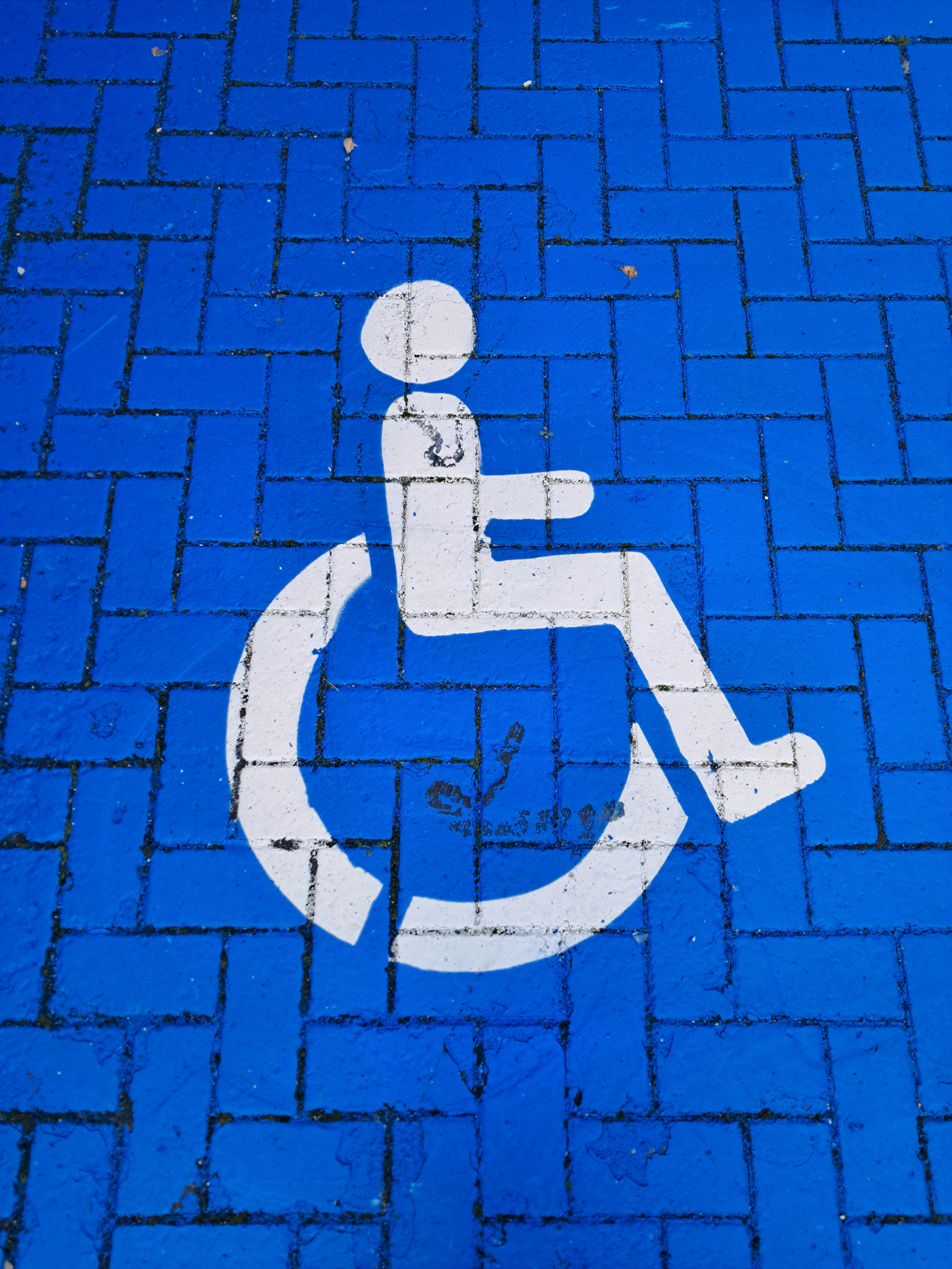 장애인 운전면허 취득