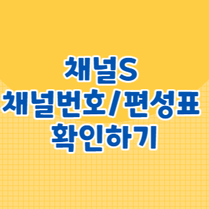 채널S 채널번호 및 편성표 확인하기