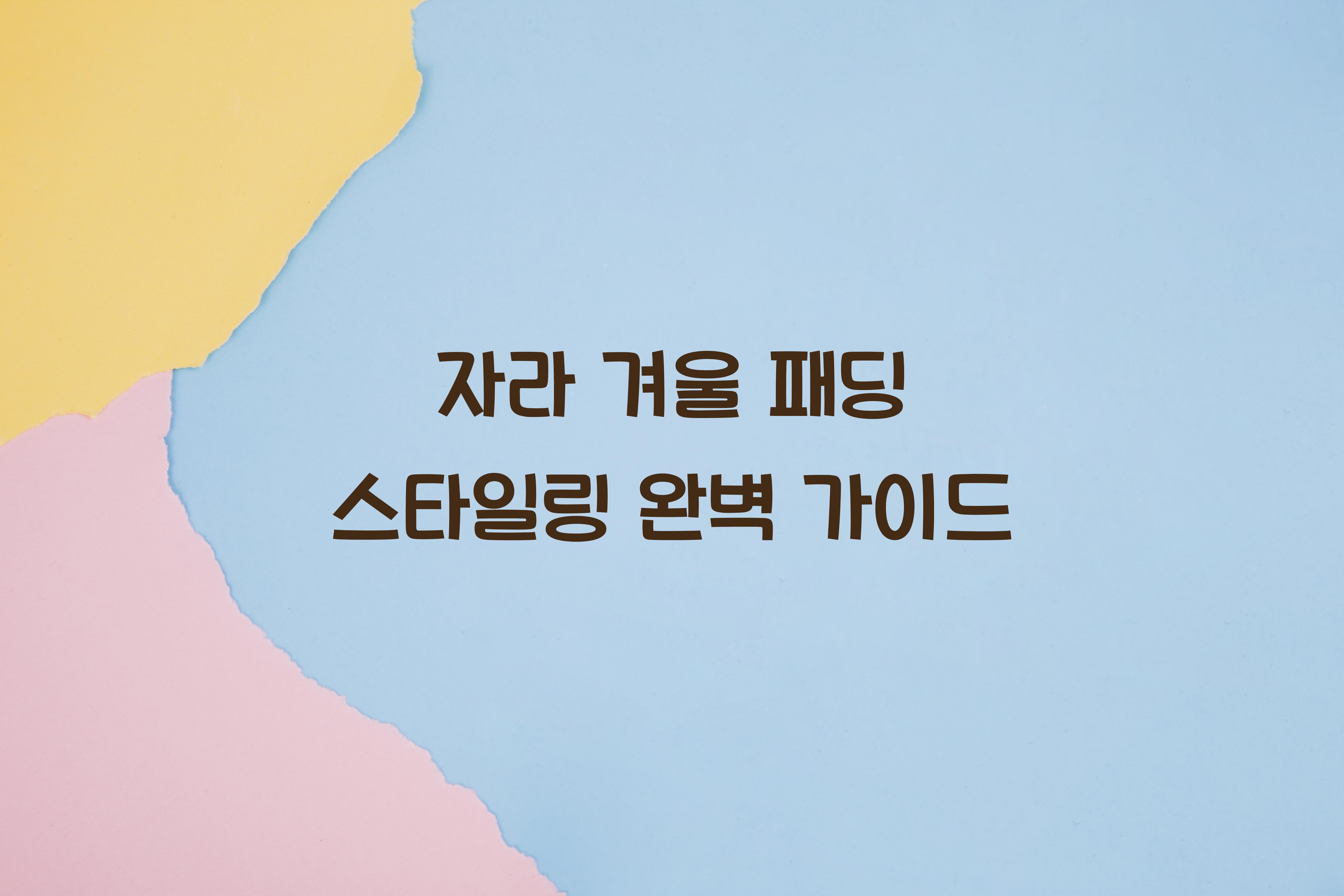 자라 겨울 패딩 스타일링