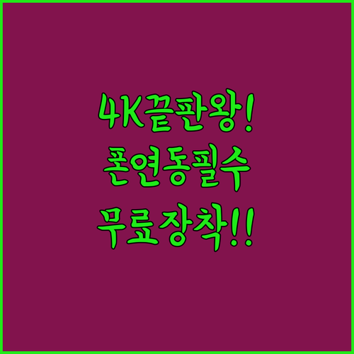 스마트폰 연동 블랙박스 추천 4K 고..