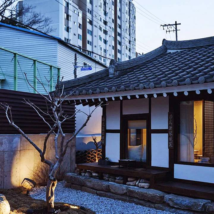 생방송오늘저녁 촌집전성시대 추천 강원 강릉 호텔 숙박 핫플 추천 여행 가볼만한 곳