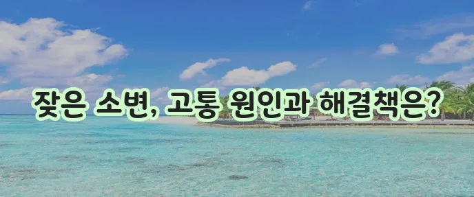 방광염 증상 원인 치료법을 자세히 알아봅시다!