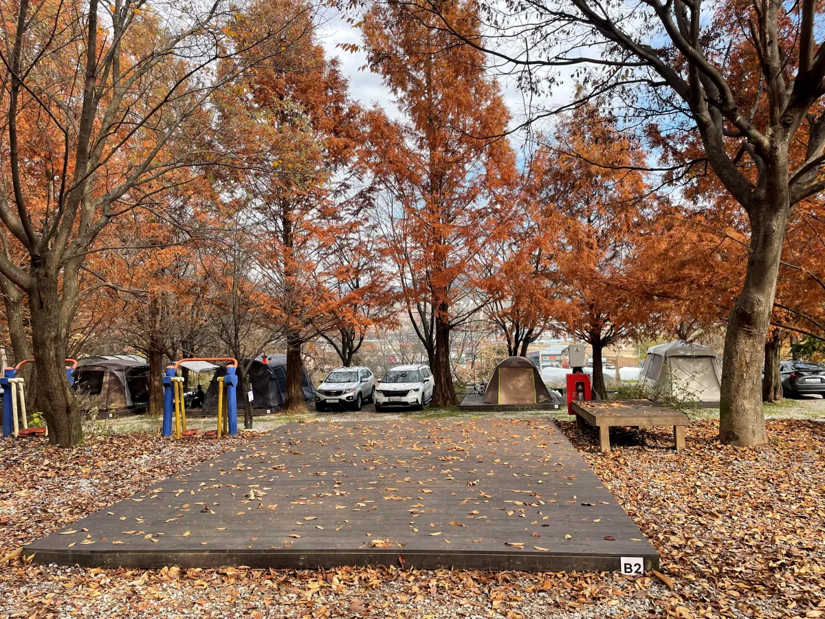 경기도-양주-새로-오픈한-봄이오는캠프-사이트별-사진-및-특징-정리(가족캠핑-2박후기)