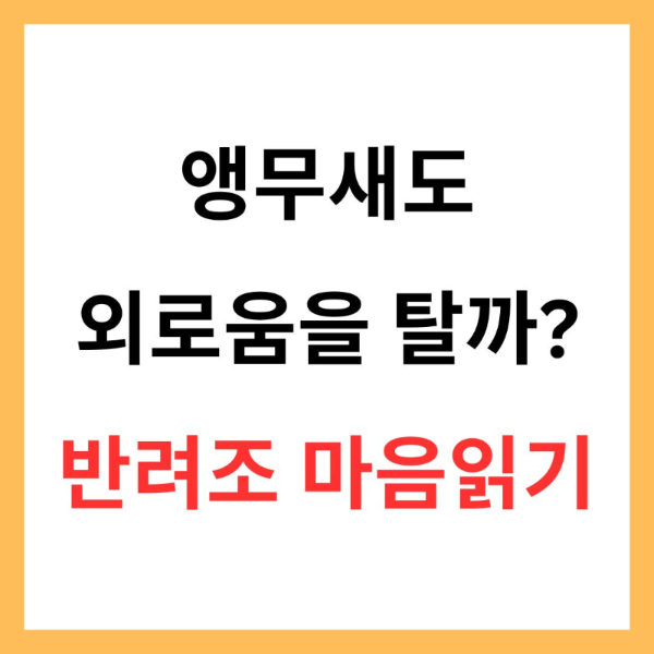 앵무새도 외로움을 탈까? &ndash; 혼자 남겨진 새의 마음 읽기