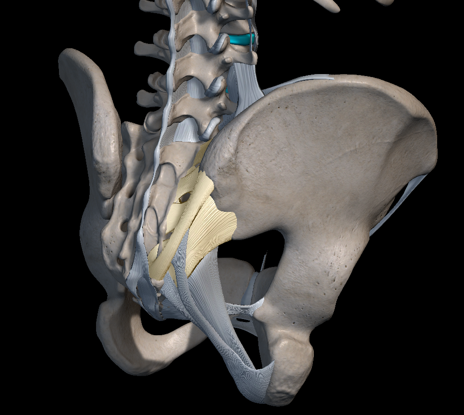 허리 삐끗했을 때&amp;#44; 요추 염좌 치료법
