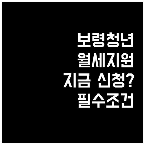 보령시 거주 청년 필독 2026년 월..