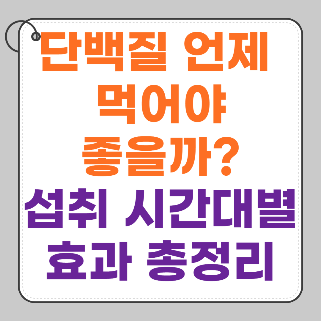 단백질-언제-먹어야-좋을까-섭취-시간대별-효과-총정리