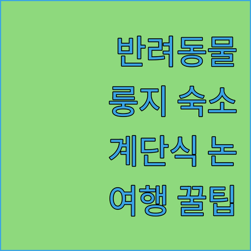 반려동물 동반 가능! 룽지 계단식 논