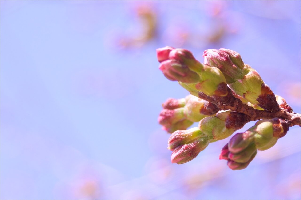 저축은행 정기예금 금리비교