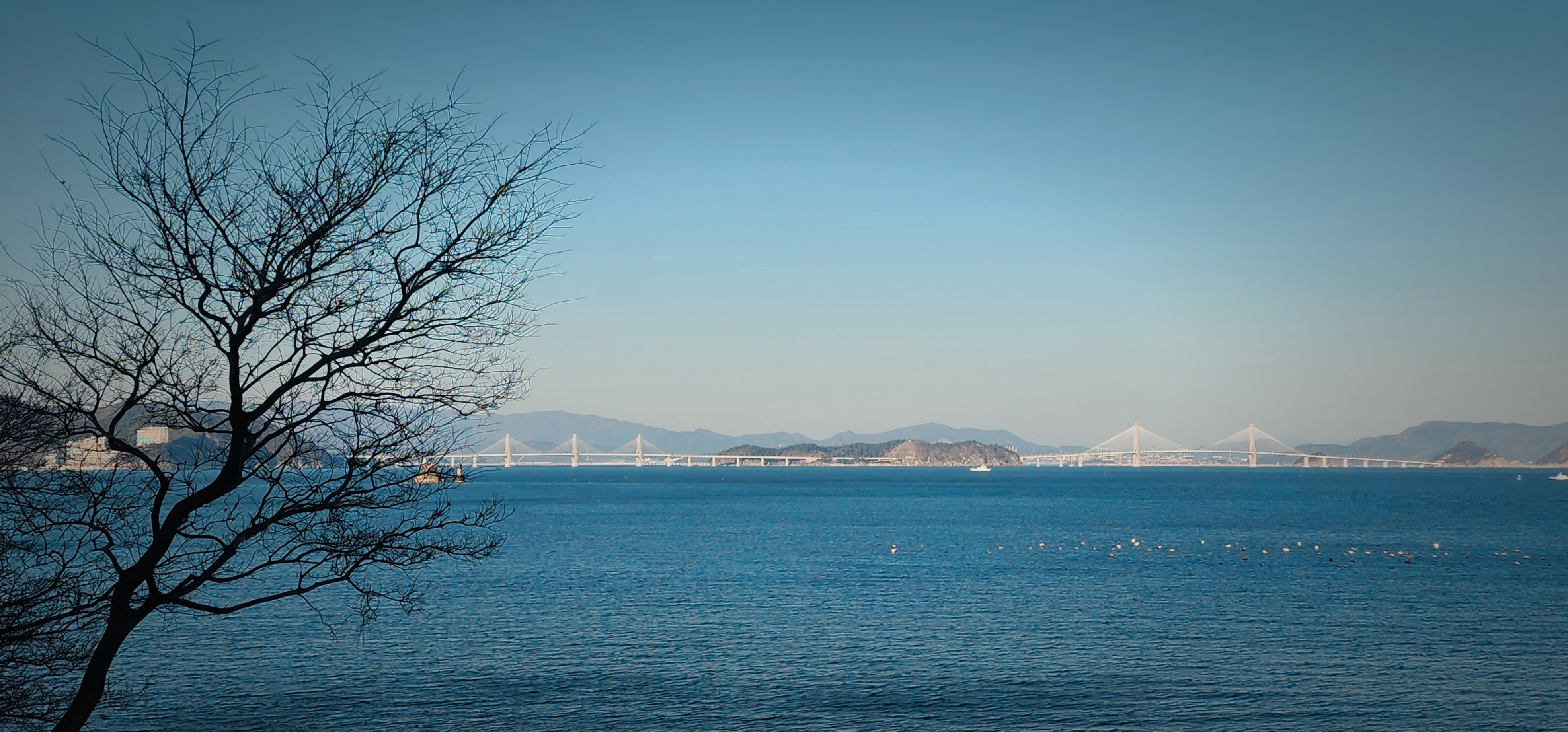 바다를 사이에 두고 멀리 섬과 도시 풍경을 바라본 풍경 사진