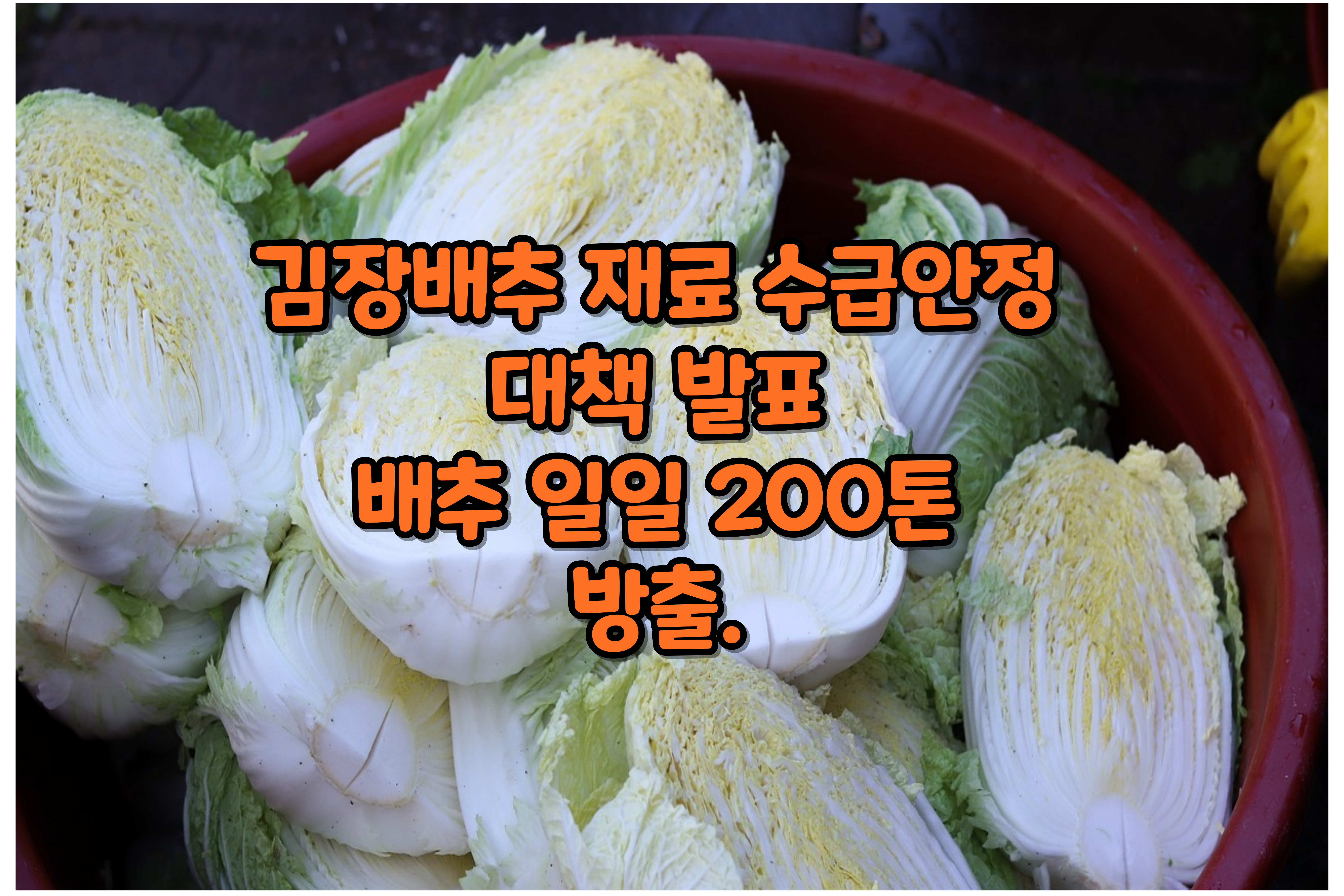 김장배추재료수급안정대책 발표