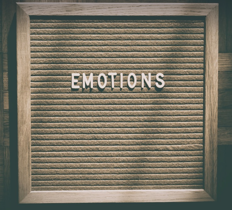 호르몬과 감정:분노, 사랑, 슬픔의 과학적 원리