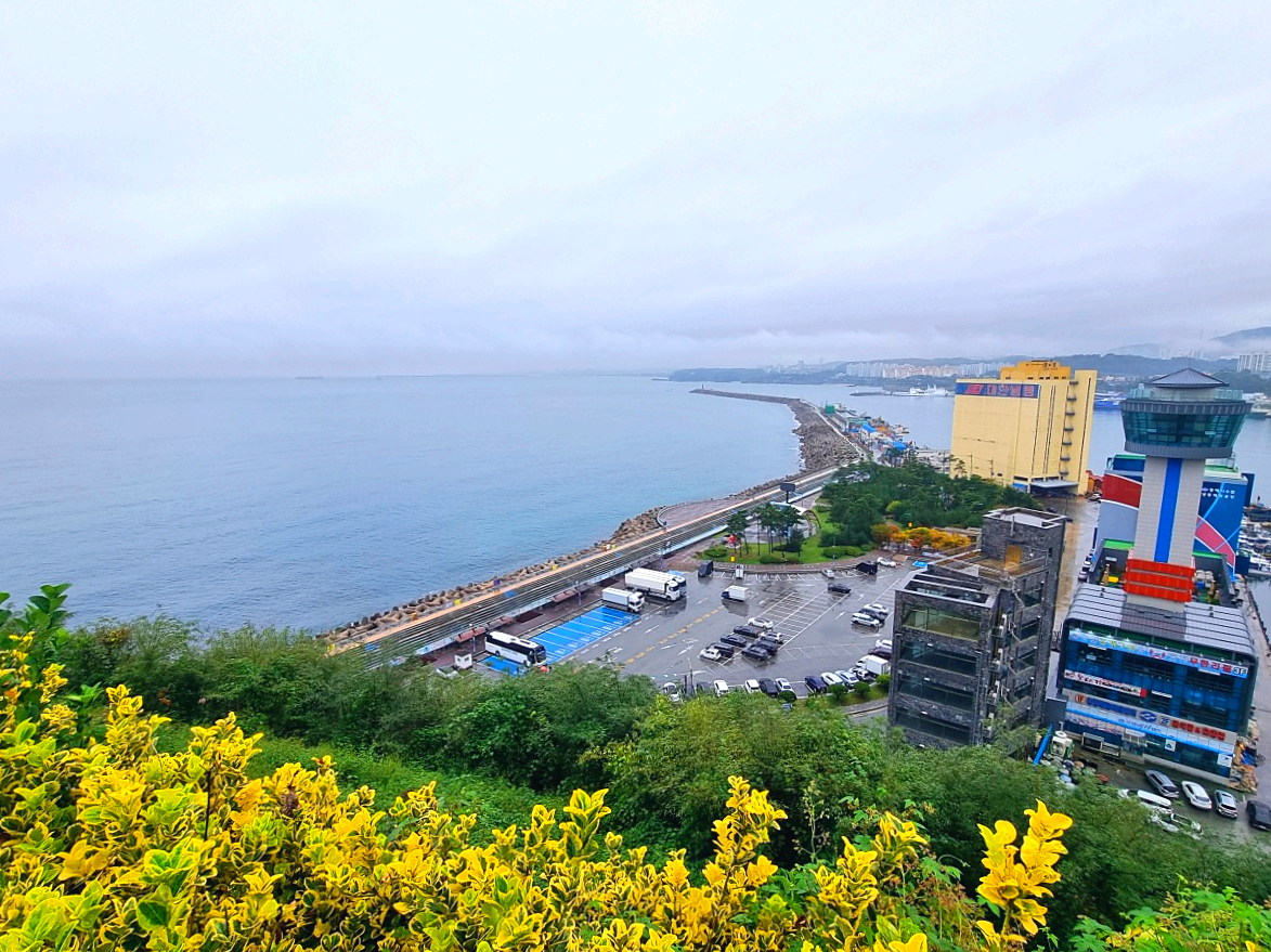 동해 묵호 가볼만한 곳 논골담길 - 바다와 골목, 벽화로 만나는 감성 여행지