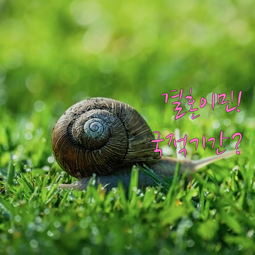 결혼이민자 한국 국적 취득 조건과 기..