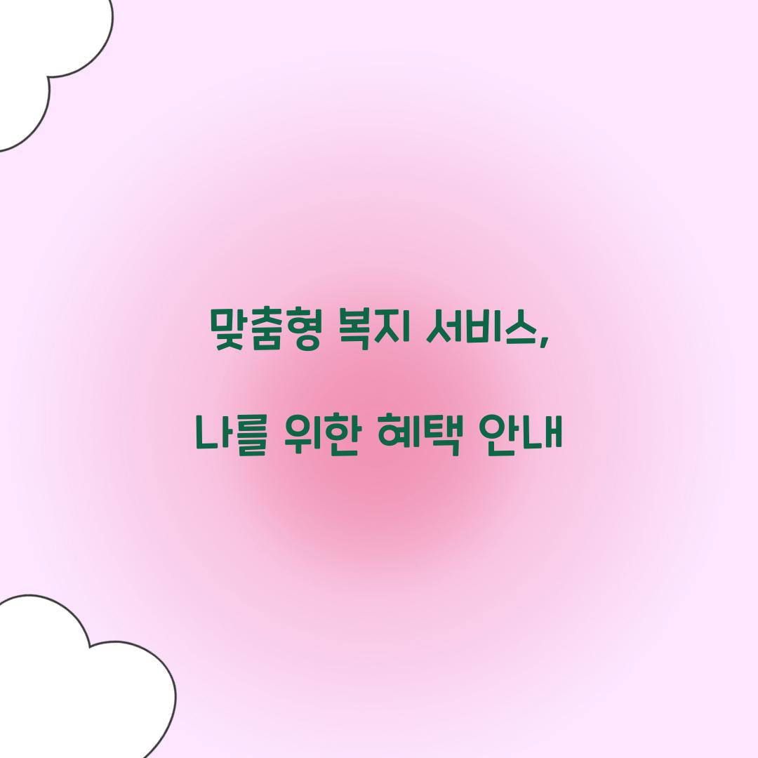 맞춤형 복지 서비스