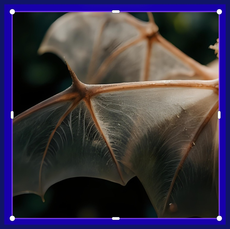 박쥐 날개뼈 구조에 기반한 생체모방형 비행 장치