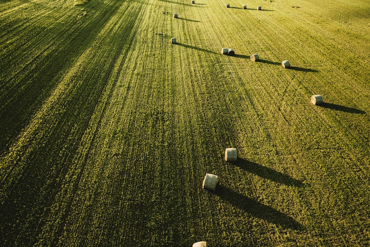 농지취득자격증명 요건