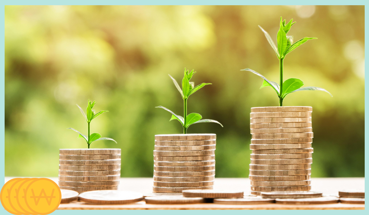 K패스 교통카드 발급