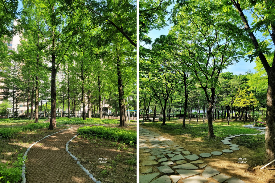 과천 중앙공원