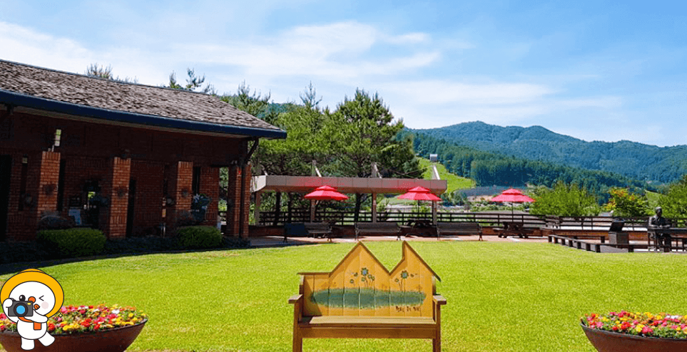 평창 가볼만한곳