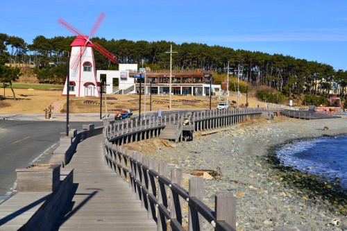 간절곶 산책로 사진