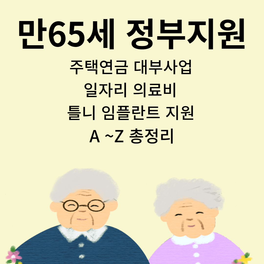 정부지원