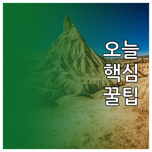 주방 식재료 신선도 혁명! 김치냉장고..