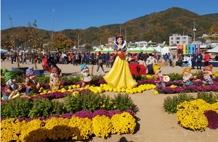 2023 청송 사과축제 사진