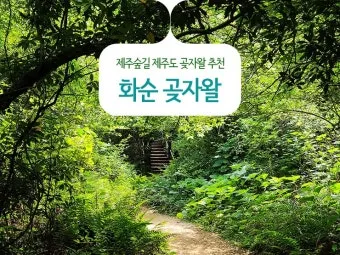 걷기 좋은 명품 숲길 50선 전국 서울 경기_13