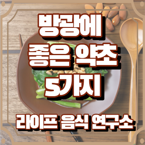 방광에 좋은 약초5가지