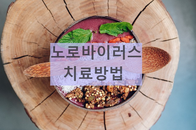 노로바이러스 치료법 치료방법