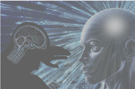 알고리즘이 만드는 내 취향