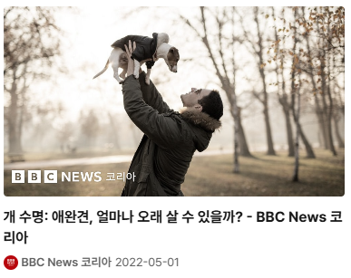 애완견 얼마나 오래 살수 있을까?