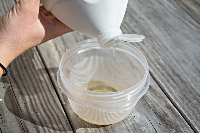 초파리 없애는 방법, 날파리 퇴치법, 초파리 트랩 만들기, 팁줌