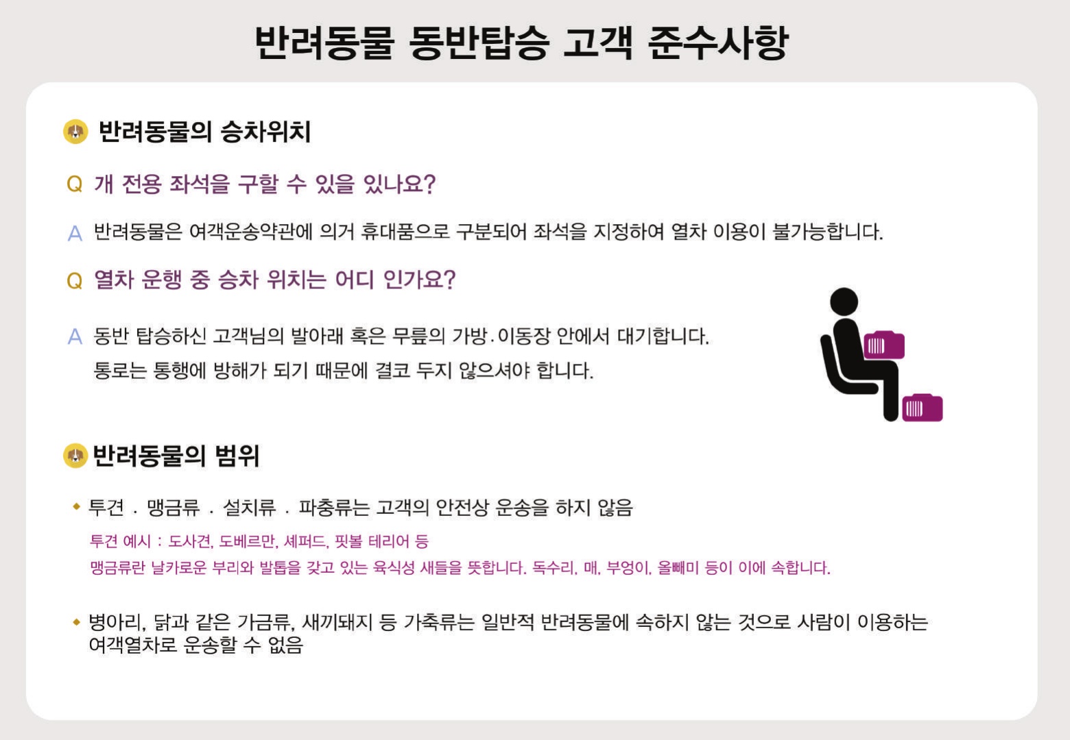 반려동물과 함께하는 대중교통