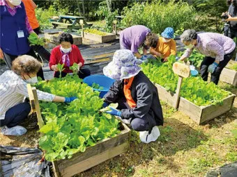 농업 교육 수강 농업기술센터 온라인 강좌 자격증 실습 정보_21