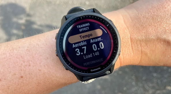 가민 포러너 955의 트레이닝 존 사진