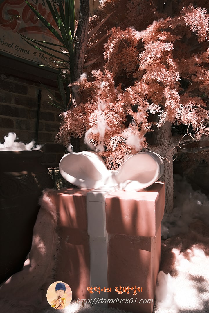 더 그라운즈 오브 알렉산드리아(The Grounds of Alexandria)