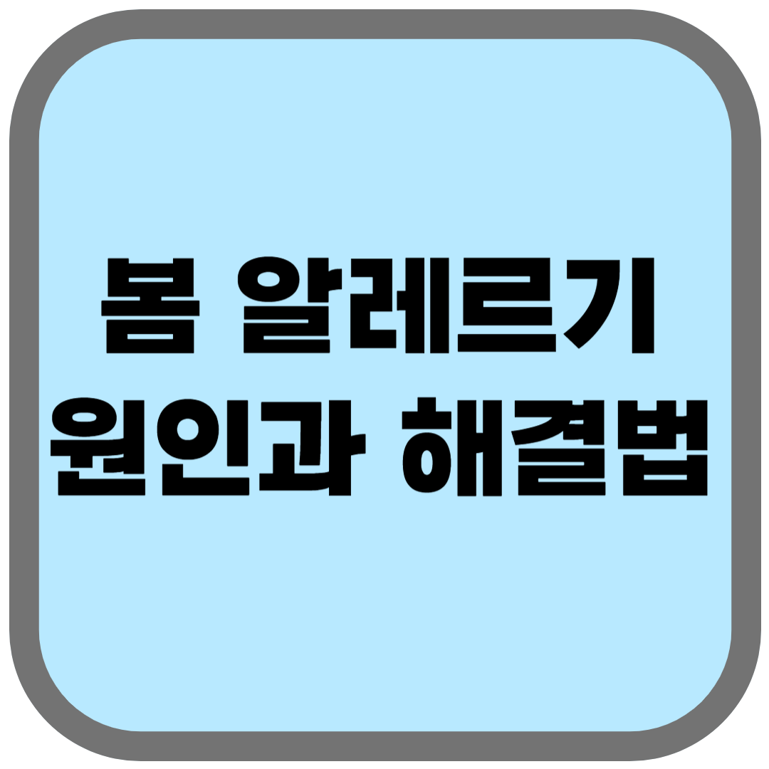 봄 알레르기 원인과 해결법! 재채기, 콧물 줄이는 꿀팁