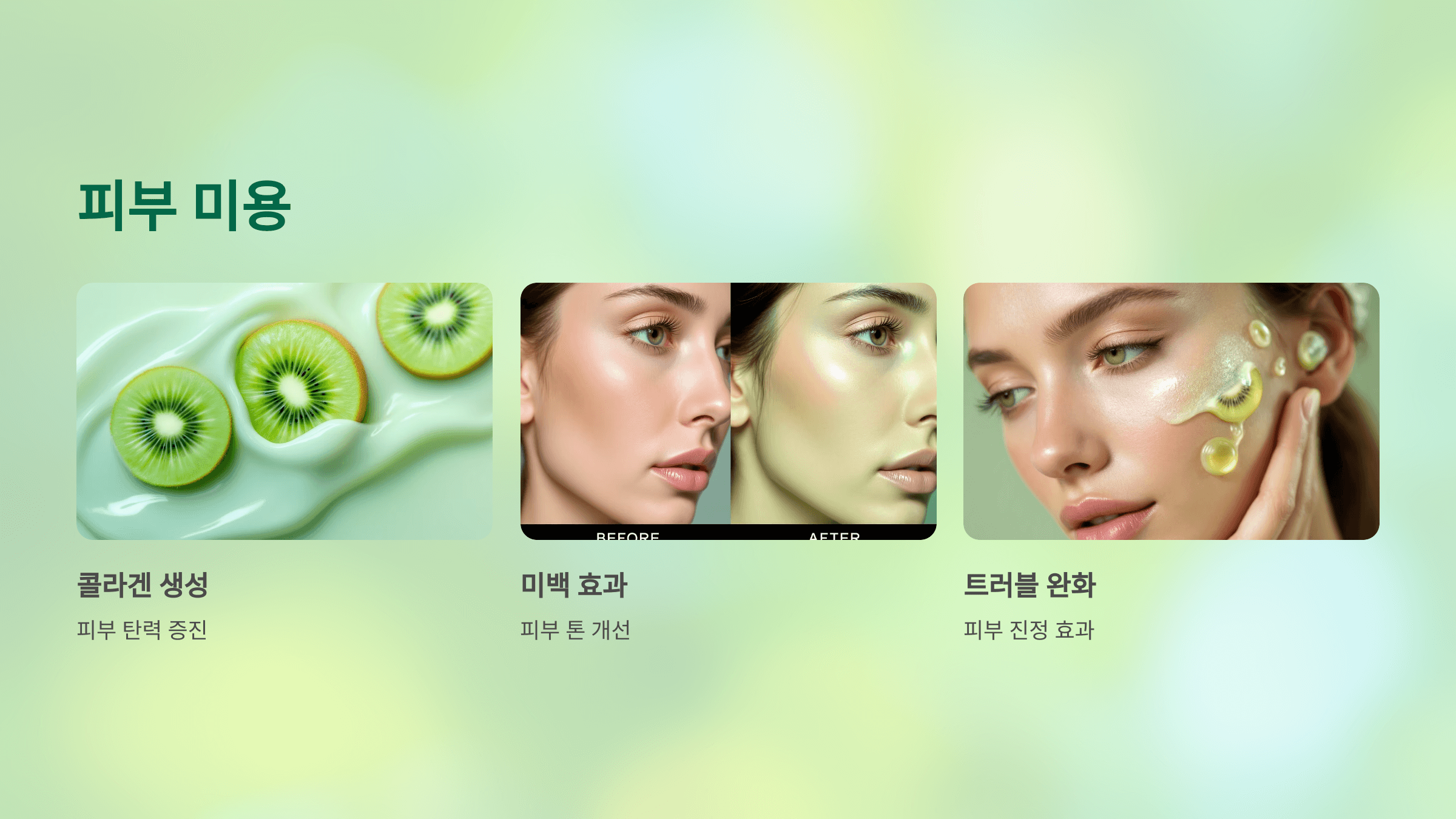 키위 사진입니다.