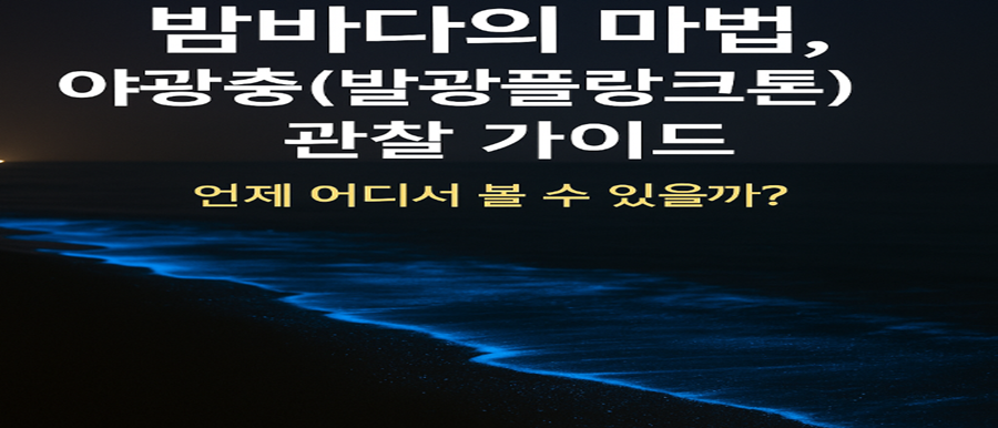 야광충 관찰 가이드