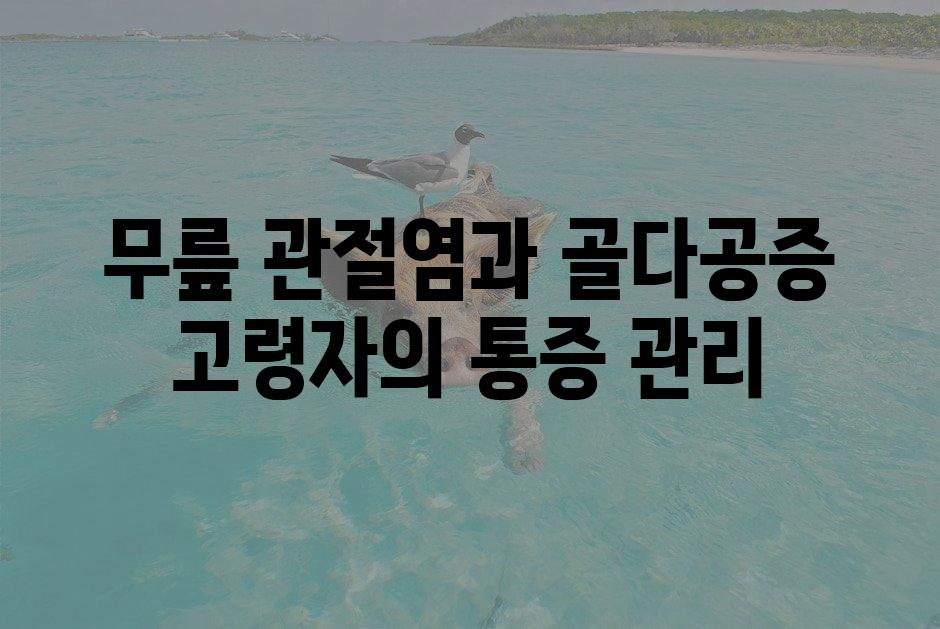 샘플 (1)