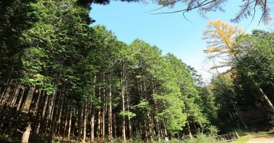 임실 가볼만한곳 베스트10