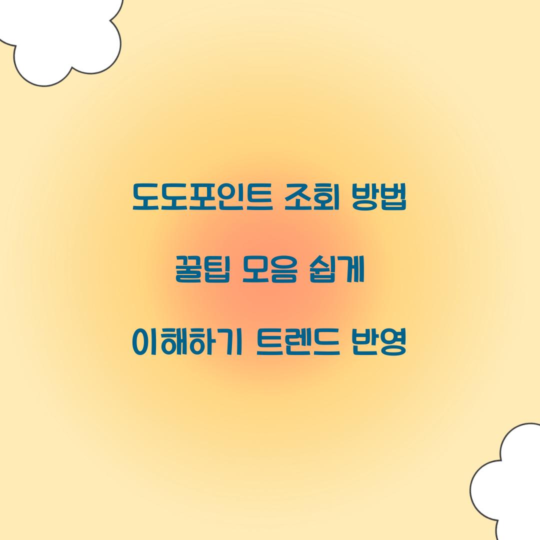 도도포인트 조회