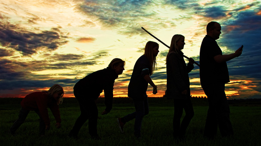 진화론과 자연선택: 생물 다양성의 기원