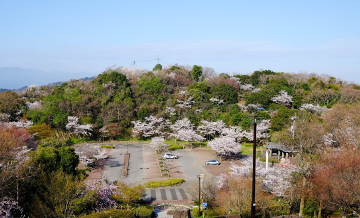 비잔공원벚꽃-이미지출처-일본정부관광국
