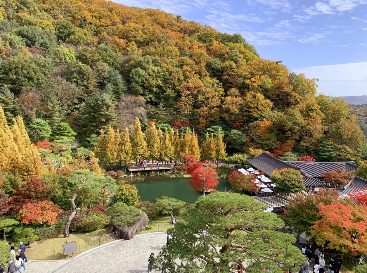 자연 속 힐링 여행지, 화담숲